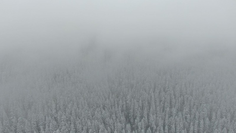 Meteoroloji'den gelen uyarının ardından Kastamonu'da etkili oldu. Ilgaz Dağı beyaz örtüyle kaplandı - Resim: 1
