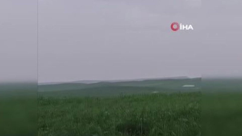 Batman'ın Beşiri Ovası'nda ender rastlanan bir hayvan ortaya çıktı. Büyüklüğünü görenler gözlerini 4 açtı - Resim: 1