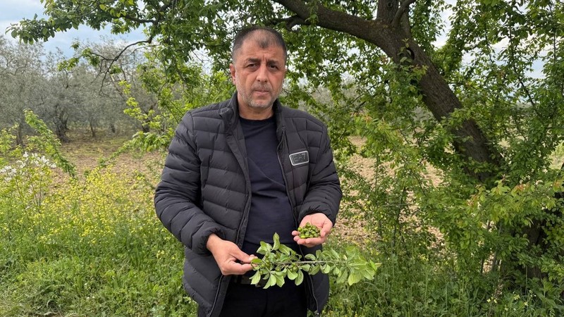 Bursa'dan Türkiye'ye -6 ile korkutucu haber geldi. -6'ya vurunca 1 milyarlık hepsi bir anda yok oldu - Resim: 3