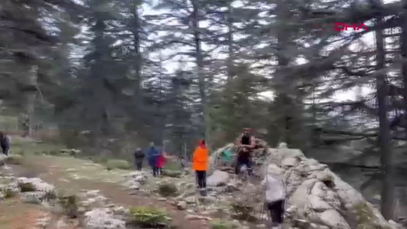 Antalya'da 1000'lercesi teker teker toprak üzerinde görünmeye başladı. Dokunmak isteyen 557 bin 212'i hazırlasın - Resim: 1