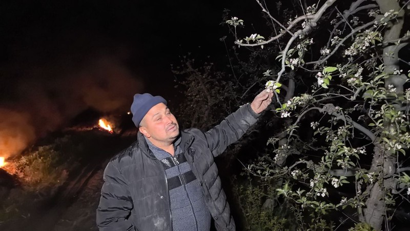 Bursa'da sıcaklık 0'ın altına düştü, çiftçiler tarlalarını ateşe verdi - Resim: 1