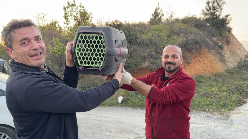 Arnavutköy’de 100'lerce torba ot toplamak için doğaya giden vatandaş çalılıklarda hareket olunca arkasında onu buldu - Resim: 1