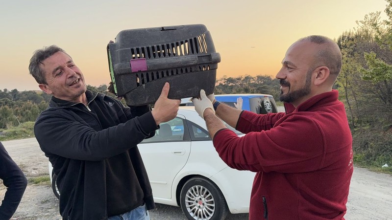 Arnavutköy’de 100'lerce torba ot toplamak için doğaya giden vatandaş çalılıklarda hareket olunca arkasında onu buldu - Resim: 2