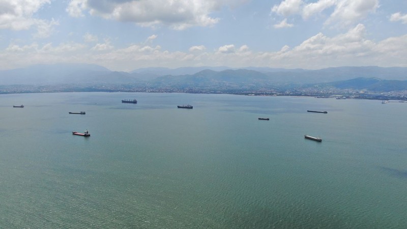 İzmit'te bir anda ortaya çıkan hayvan büyük şaşkınlık yarattı. 1 tanesi gelmişti. Normalde Mersin'de görülüyordu - Resim: 1