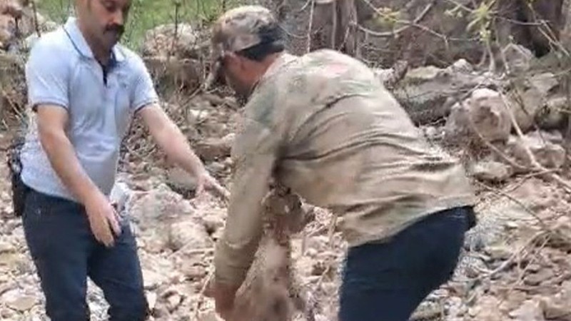 Elazığ’da 1 tane keçi kayalıklarda mahsur kaldı. Acilen bölgeye çağrılan resmi ekipler gördüğü manzara karşısında dondu kaldı - Resim: 1