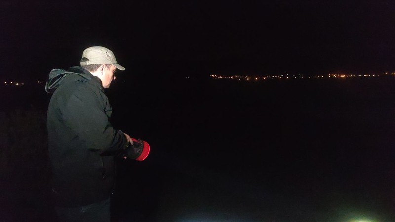 Van'dan başka yerde yaşamayan 1000'lerce hayvan gece büyük bir harekete başladı... 1000'lercesinin akını için resmi ekipler korumaya gitti - Resim: 1