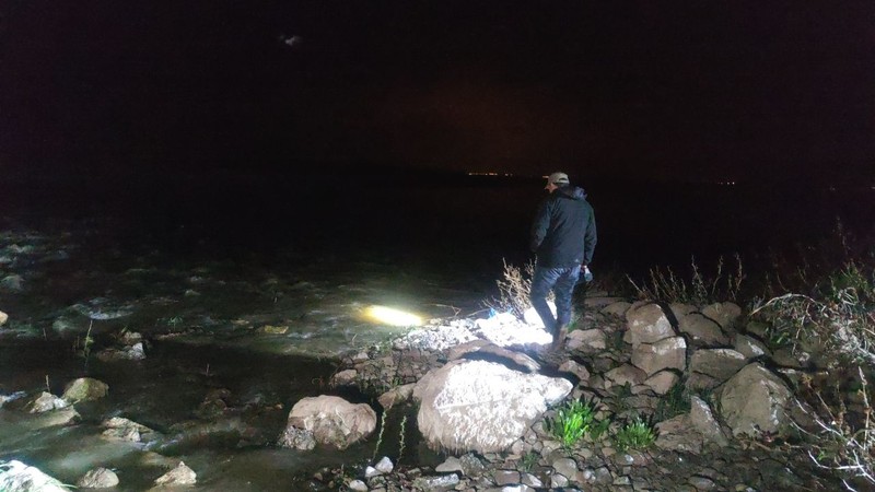 Van'dan başka yerde yaşamayan 1000'lerce hayvan gece büyük bir harekete başladı... 1000'lercesinin akını için resmi ekipler korumaya gitti - Resim: 2