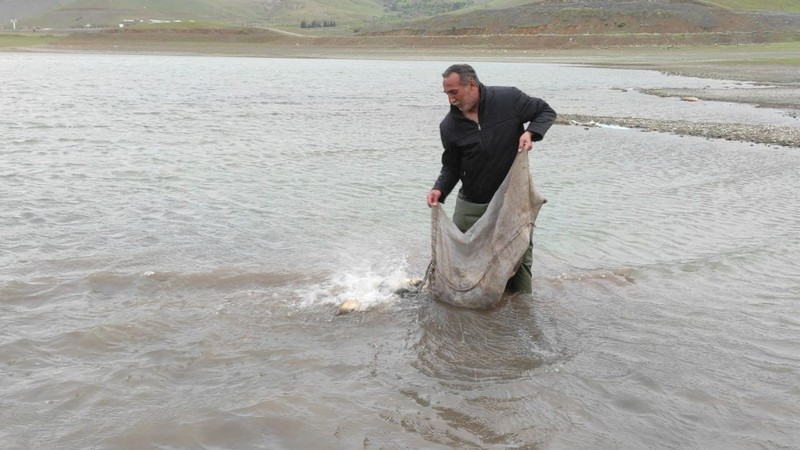 Elazığ’da 2 bin 500 metre başka, 500 kilo canlı hayvan başka şekilde ele geçirildi! Daha da sürecek - Resim: 1