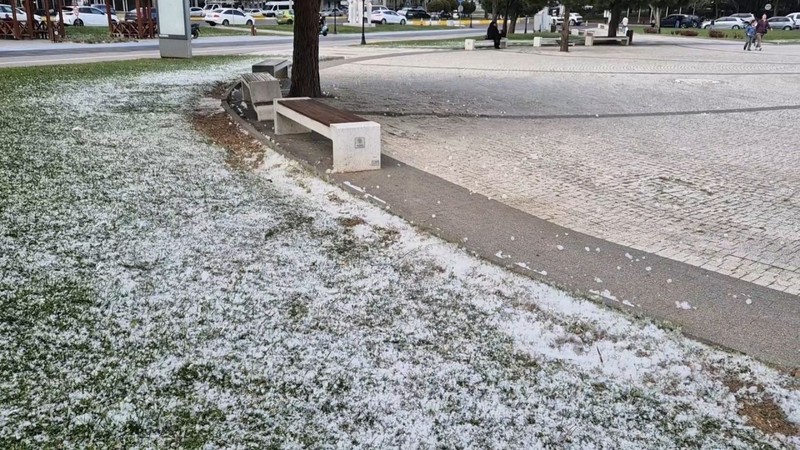 Tekirdağ'da 1000'lercesi her yeri kapladı. Nisan ayının sonunda her tarafı bembeyaz gören vatandaşlar şaşkına döndü - Resim: 3