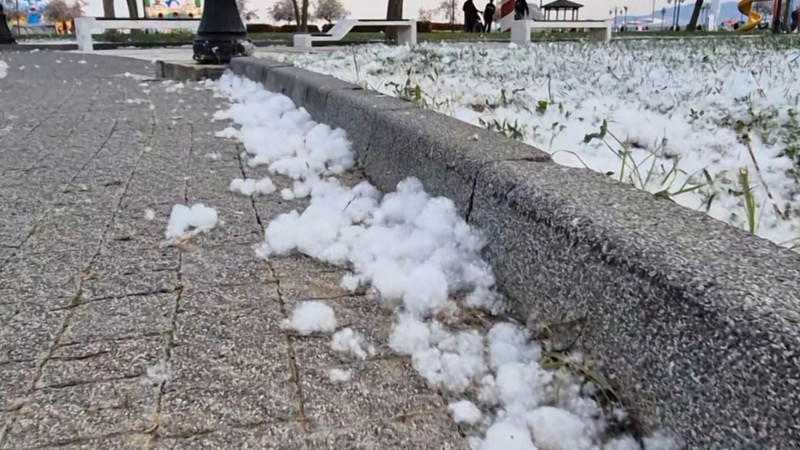 Tekirdağ'da 1000'lercesi her yeri kapladı. Nisan ayının sonunda her tarafı bembeyaz gören vatandaşlar şaşkına döndü - Resim: 4