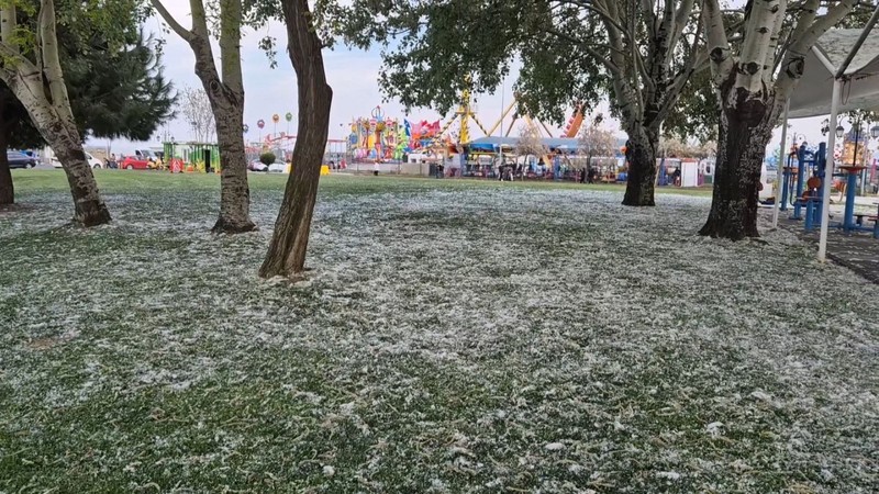 Tekirdağ'da 1000'lercesi her yeri kapladı. Nisan ayının sonunda her tarafı bembeyaz gören vatandaşlar şaşkına döndü - Resim: 5