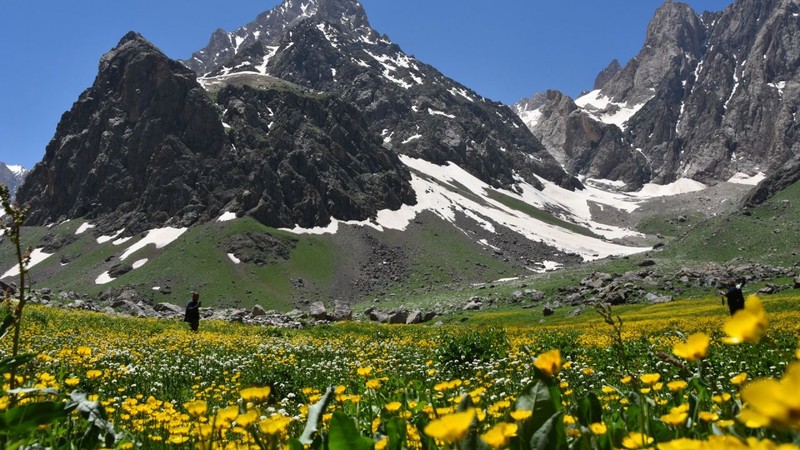 Hakkari'de doğada  2 bin 938 metre yükseklikte tespit edildi. Araştırmacılar 1 tane hayvanı görür görmez hemen resmi kayda aldı Türkiye'de ilk kez görüldü - Resim: 3