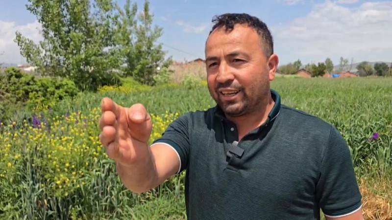 Amasya'da bahçesine çıkan vatandaş 1 tanesini karşısında gördü. 1 tanesine seslenmesiyle birlikte hayvanın yok olması bir oldu - Resim: 2