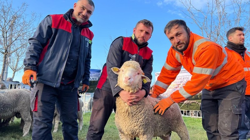 Kocaeli'de 145 baş hayvan, sahiplerine teslim edildi. 145 tanesi gidip 1000'lerceye dönecek - Resim: 4