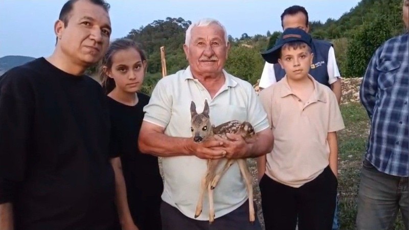 Sinop’ta 150’den fazla keçisini otlatmak için yaylaya giden çoban bir anda karşısında onu gördü. Yanlarına getirdiğinde 150 keçi bile ona merhametle baktı - Resim: 1