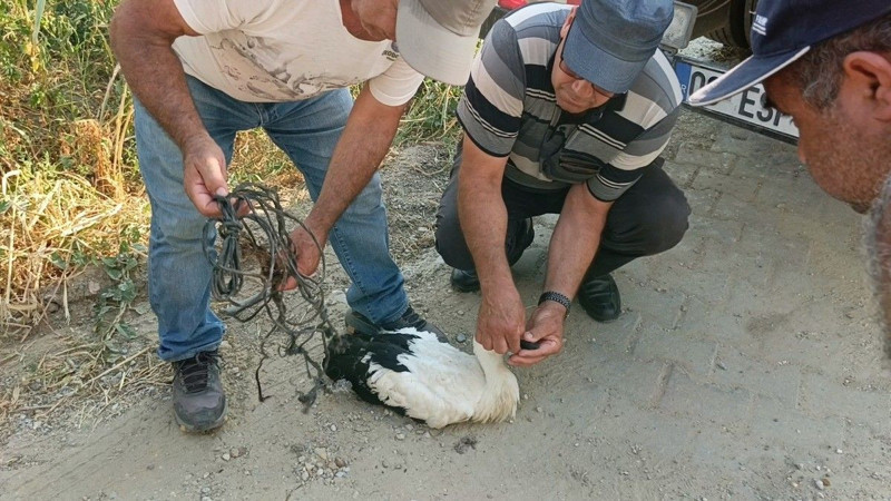 Ayağına ip dolanan hayvanın can çekiştiğini gören vatandaşlar hemen müdahale etti. Yoksa kangren olacaktı - Resim: 5