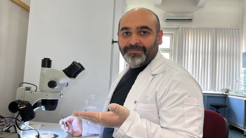 Avustralya'dan yola çıktı 100 adım 100 adım. Sivas, Çorum, Yozgat, Çankırı, Tokat, Kayseri, Erzurum ve Erzincan'a girdi! Çoğalmak için erkeğe ihtiyacı yok - Resim: 1