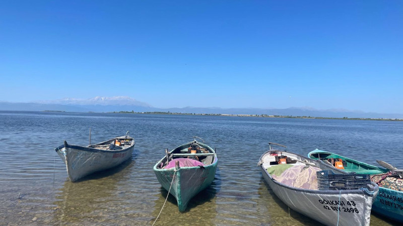 Konya'da amatör balıkçıların ağına takıldı. En son 11 yıl önce çıkmıştı balıkçılar görünce kaçmasın diye hemen su ile bağlantısını kesti - Resim: 2