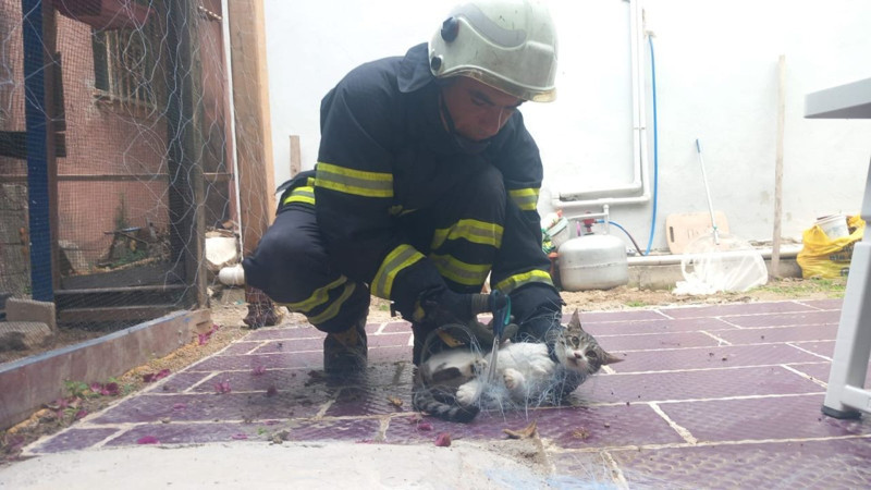 Hatay'da vatandaşlar balıkçı ağından gelen acı acı çırpınma seslerine koştu. Onu ağ ile boğuşurken buldular - Resim: 3