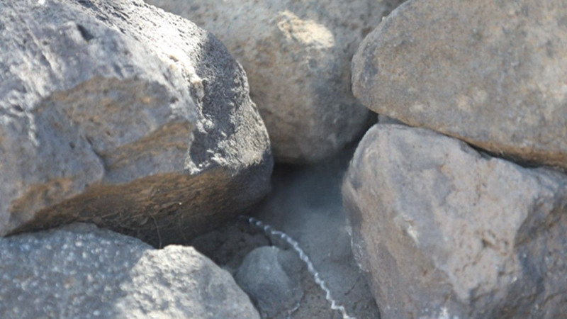 Kars'ta doğada kayalıkların arasında bir anda 1 tanesi fırladı. Önce fark edilmedi ama o doğanın en tehlikelisi - Resim: 1