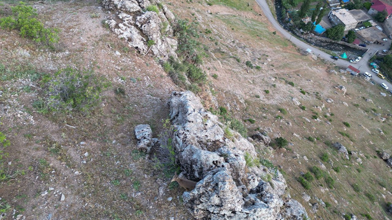 Şırnak’ta bir çoban hayvanlarını otlatırken sürüde onları fark etti. Bir değil İki tanelerdi - Resim: 2