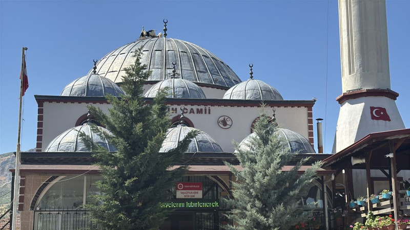 Tokat’ta yuvadan atılan yavru leyleğe cami imamı sahip çıktı - Resim: 6
