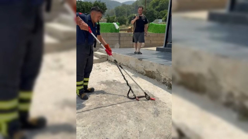 Osmaniye’de evin bahçesine girdi! Yakalandıktan sonra yapılan o hareket, görenleri hem şaşırttı hem duygulandırdı - Resim: 1