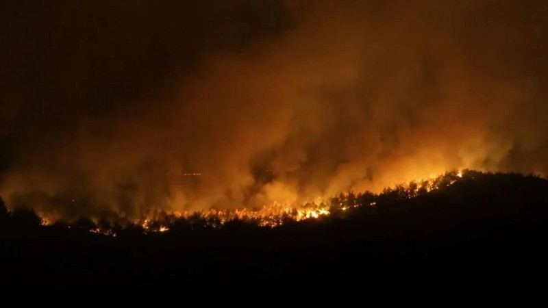 Sabah sönmüştü, akşam tekrar alevlendi: Sakarya-Bilecik hattındaki yangın köyleri tehdit ediyor - Resim: 7