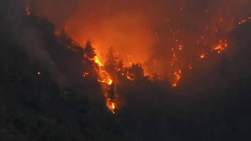 Sabah sönmüştü, akşam tekrar alevlendi: Sakarya-Bilecik hattındaki yangın köyleri tehdit ediyor - Resim: 11