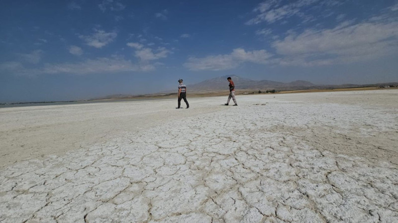 Bitlis'te göçmen kuşların uğrak noktası alarm veriyor: Su çekildi, zemin çatladı - Resim: 4