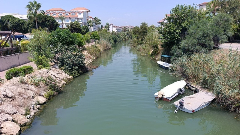 Tatlı suyla birleşen gölde gizli tehlike! Afrika kökenli canlı bölgede yüzmeye devam edenler için ciddi risk taşıyor - Resim: 1