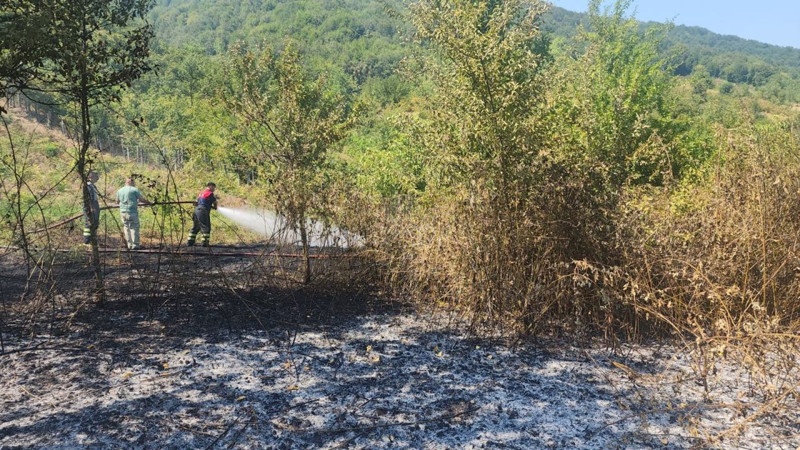 Bartın’da anız yakımı faciaya dönüşüyordu, alevler hızla yayıldı - Resim: 2