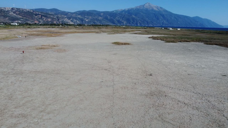 Hatay Samandağ’daki Milleyha Kuş Cenneti suyla doldu, göçmen kuşlar geri döndü - Resim: 2
