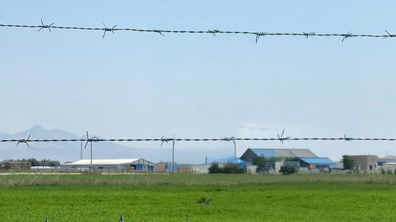 Çırpınarak kurtulmaya çalıştı. Onunla göz göze gelince sessiz çığlığı duyuldu - Resim: 1