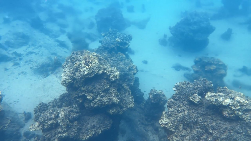 Van Gölü’nün metrelerce derinliğinde inci kefalleri ve dev mikrobiyalitler görsel şölen sundu - Resim: 3