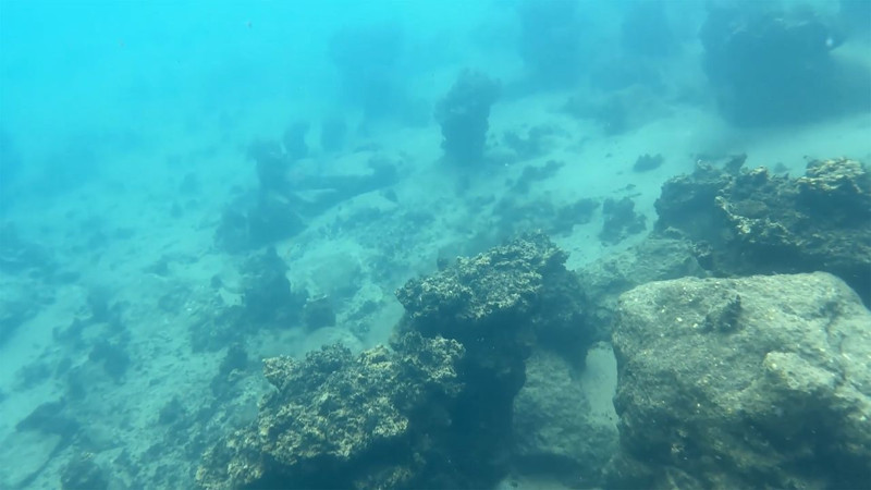Van Gölü’nün metrelerce derinliğinde inci kefalleri ve dev mikrobiyalitler görsel şölen sundu - Resim: 1