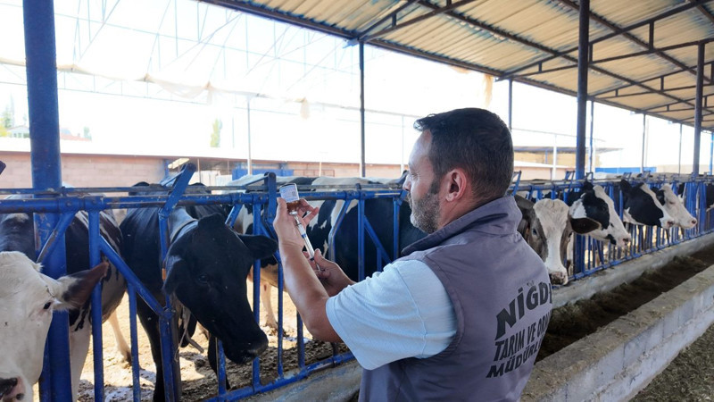 Niğde’de şap hastalığına karşı 190 bin hayvan aşılandı, üreticilere bilgilendirme yapıldı - Resim: 3