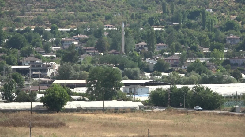 Amasya’da bir çiftçi o hayvanla bir kere ekmeğini paylaştı sonra peşinden ayrılmadı - Resim: 5