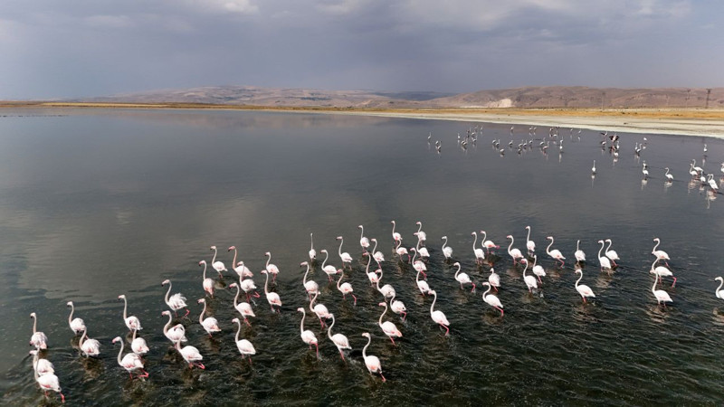 Bitlis göl kıyısında renkli manzara, Süphan Dağı eşliğinde görüntüler büyüledi - Resim: 2