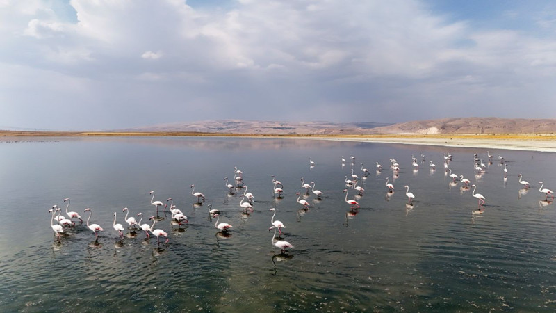 Bitlis göl kıyısında renkli manzara, Süphan Dağı eşliğinde görüntüler büyüledi - Resim: 3