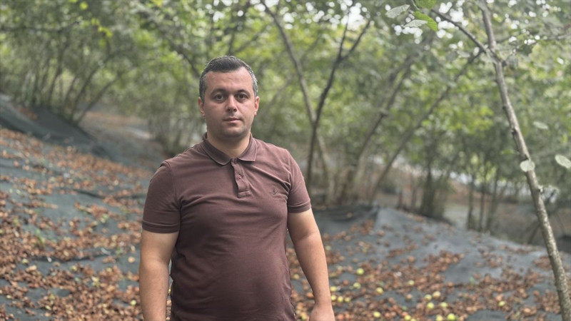 Trabzon’da üreticiler file örtü sistemiyle işçilik maliyetini düşürdü, fındıkta verim katlandı - Resim: 3