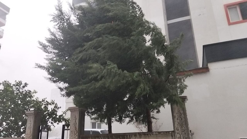 Adana’nın Kozan ilçesinde okulun ilk gününde fırtına ve sağanak yağış etkili oldu, öğrenciler zor anlar yaşadı - Resim: 1