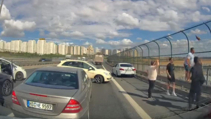 İstanbul'da feci kaza! Kediyi kurtarmaya çalıştı! Otomobil çarptı - Resim: 3