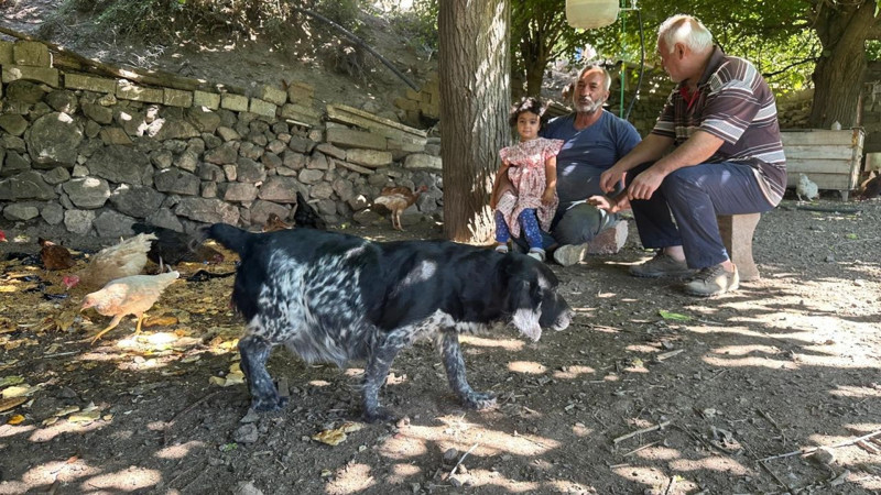 Elazığ'da mahallelinin başı o hayvanla dertte. 2 ayda 150'den fazla hayvan telef oldu, çözümü nöbet tutmakta buldular - Resim: 6