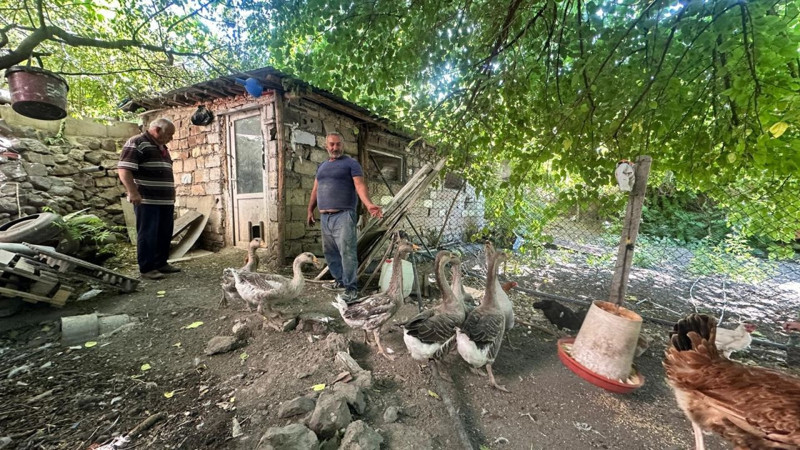 Elazığ'da mahallelinin başı o hayvanla dertte. 2 ayda 150'den fazla hayvan telef oldu, çözümü nöbet tutmakta buldular - Resim: 2