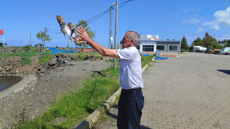 Giresun'da missina bu sefer onun ayağına dolandı! Duyarlı vatandaş sayesinde kurtarıldı - Resim: 1