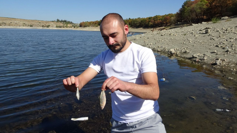 Kütahya'dan korkutan manzara! Binlerce canlı kıyıya sürüklendi, görenler şaşkına döndü - Resim: 1