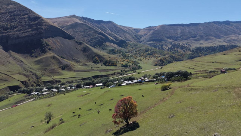 Karadeniz bölgesinde sonbahar ilk bu köye geliyor! Oluşan renk cümbüşü hayran bırakıyor - Resim: 4