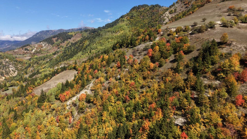 Karadeniz bölgesinde sonbahar ilk bu köye geliyor! Oluşan renk cümbüşü hayran bırakıyor - Resim: 3