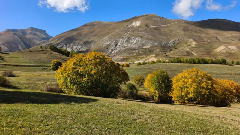 Karadeniz bölgesinde sonbahar ilk bu köye geliyor! Oluşan renk cümbüşü hayran bırakıyor - Resim: 1